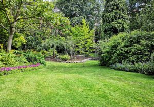 Optimiser l'expérience du jardin à Rejaumont